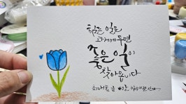 더별꽃