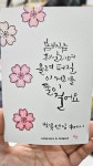 더별꽃
