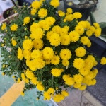 백마자동차 수입차정비