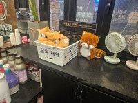 더벙커 pc방 ROG존