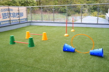 옐레드 애견유치원&애견호텔 마곡점