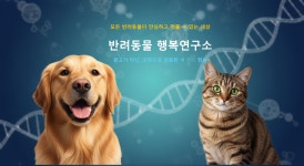 반려동물행복연구소