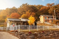 아리네하우스민박