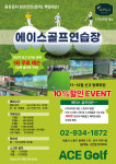 에이스골프