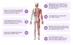 경희동의보감한의원