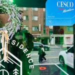 스테이프로방스40