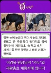 큐사랑 다대낫개점