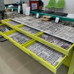 위드렌즈 위본안경