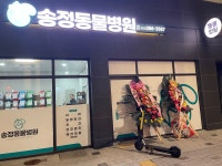 쿨펫동물병원 홈플러스북구점