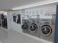 워시팡팡 용종코아루점