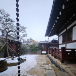 스테이 만월재 황리단길점