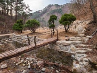 신신공인중개사사무소