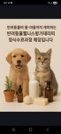 도블리펫