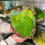 엉터리 무한대패 포항해도점