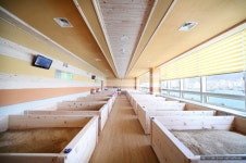 자갈치효소편백원