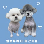 헬로우버디그루밍센터 대구달서점