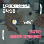 종로애견미용학원 이바우펫