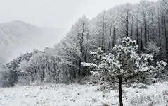 스테이산골강남 강원도자쿠지감성숙소 노천탕펜션