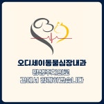 오디세이동물심장내과