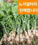 영풍농장