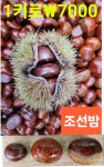 영풍농장