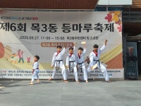 용인대한울태권도