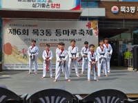 용인대한울태권도