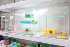 파충류샵 퍙파레