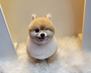 슈슈멍