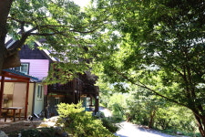 금수산산장펜션