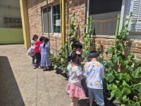 아사랑어린이집