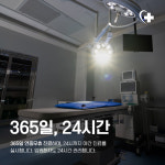울산 강일웅동물메디컬센터