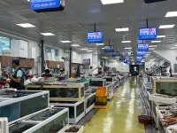 울진죽변수협 직판장