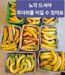 영풍농장