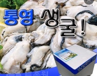 양은이네 동두천지행역점
