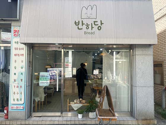 반하당 사진