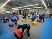 원당주짓수 Grappling247