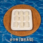 순수원