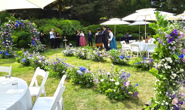 관세비스타 사진 4
