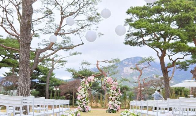 솔몬티 사진 3
