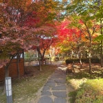 미사강변동일하이빌공인중개사사무소