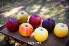 금당골사과농원