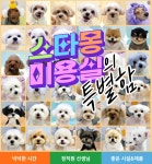 스타몽 강아지유치원&애견호텔&미용