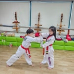 열정남악태권도