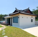 지음정