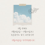 강아지네애견하우스