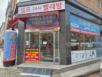 워시테리아 도안점