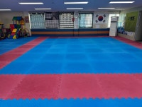 그린태권도