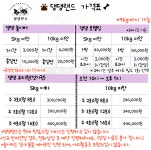 댕댕랜드 애견호텔&애견놀이터