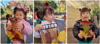 탑몬테소리어린이집